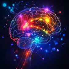 Catch of the day : Unique Neural Pathways